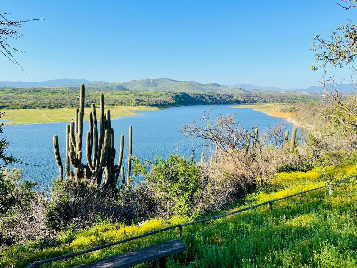 Lago rodeado de cerros y cactus en la V Región