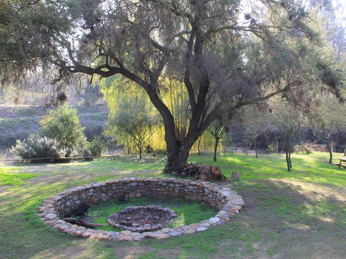 Fogón de piedra bajo un árbol en el área común