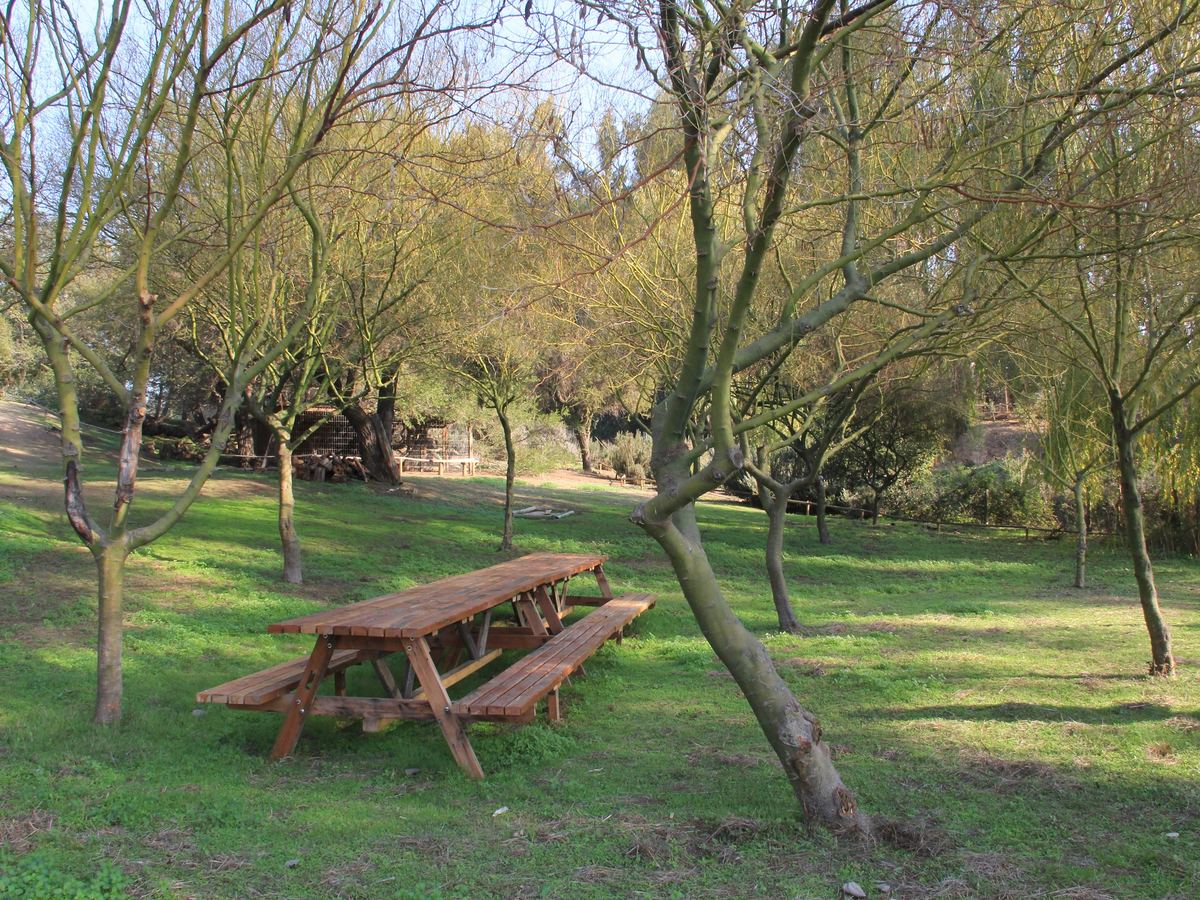Mesa de picnic en el área verde del proyecto
